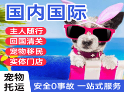 扎兰屯成吉思汗机场物流国际宠物托运 【国
